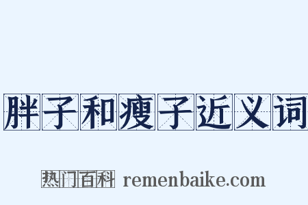 胖子和瘦子近义词是什么意思的图片